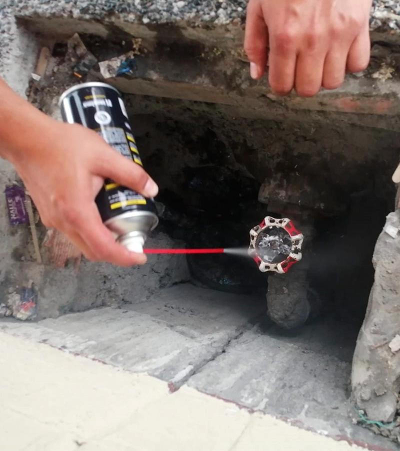 Cosmopolis03-800x900